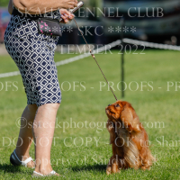 _KC_1621 (2)